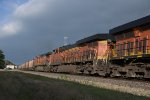 BNSF 8336 Roster shot